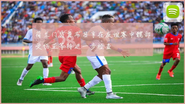 荷兰门将费布吕亨在友谊赛中髋部受伤正等待进一步检查
